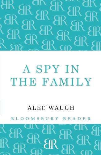 A Spy in the Family An Erotic Comedy [Paperback]