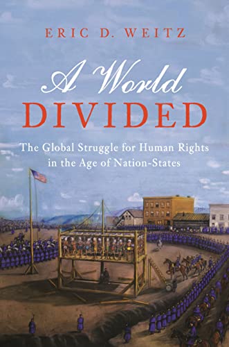 A World Divided: The Global Struggle for Human Rights in the Age of Nation-State [Hardcover]