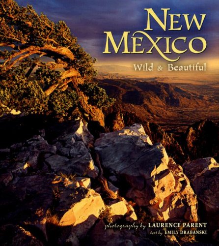 New Mexico Wild And Beautiful [Hardcover]