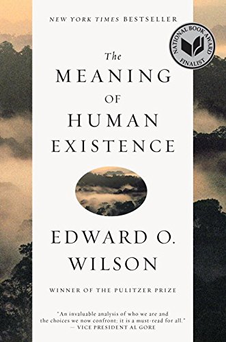 The Meaning of Human Existence [Paperback]