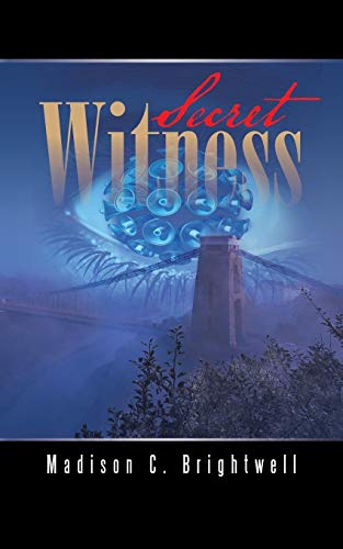 Secret Witness [Paperback]