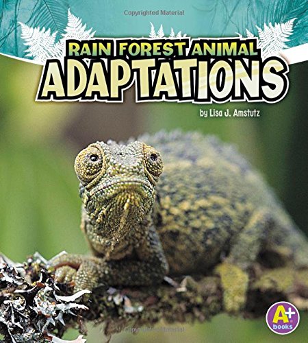 Rain Forest Animal Adaptations (amazing Animal Adaptations) [Paperback]