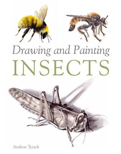 Drawing and Painting Insects [Paperback]