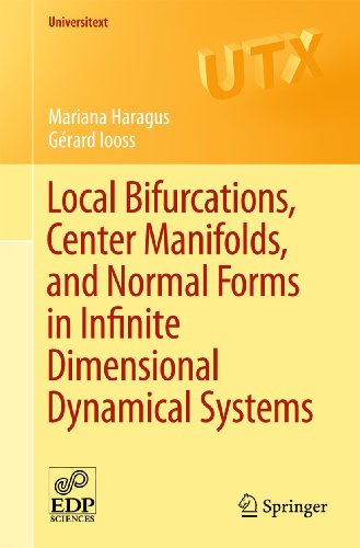 Local Bifurcations, Center Manifolds, and Normal Forms in Infinite-Dimensional D [Paperback]