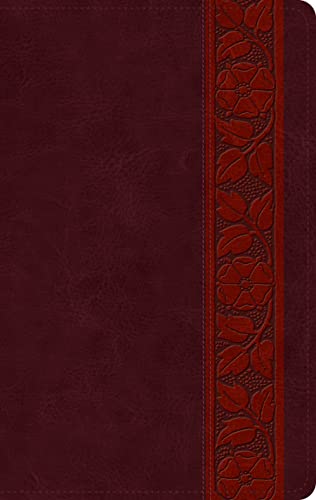 Esv Large Print Personal Size Bible