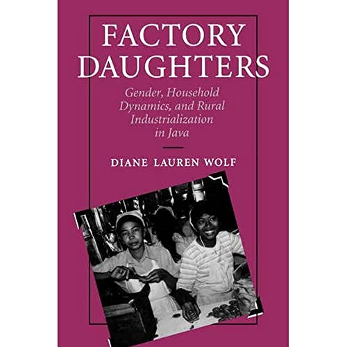 Factory Daughters Gender, Household Dynamics, and Rural Industrialization in Ja [Paperback]