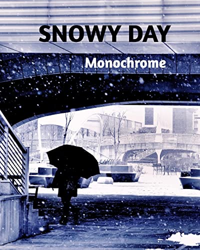 Snowy Day  -Monochrome