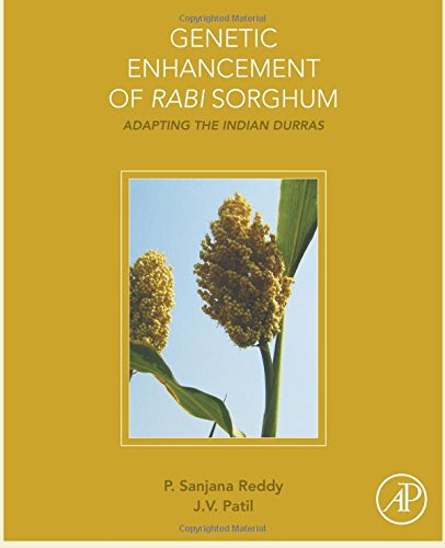 Genetic Enhancement of Rabi Sorghum Adapting the Indian Durras [Paperback]