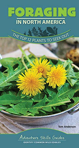 Foraging in North America: The Top 12 Plants to Seek Out [Spiral bound]