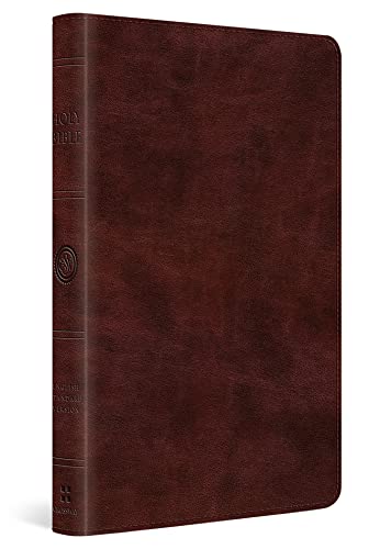 Esv Large Print Thinline Bible [Unknown]