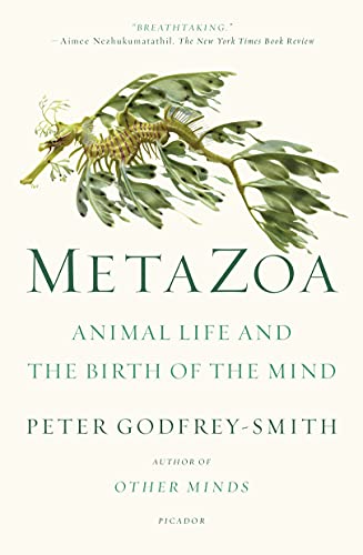 Metazoa: Animal Life and the Birth of the Mind [Paperback]