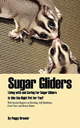 Sugar Gliders Living With And Caring For Sugar Gliders Is This The Right Pet Fo [Paperback]