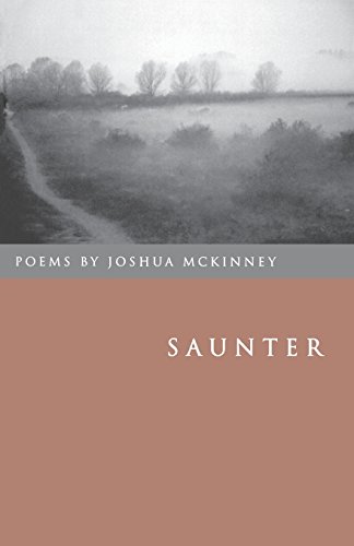 Saunter Poems [Paperback]