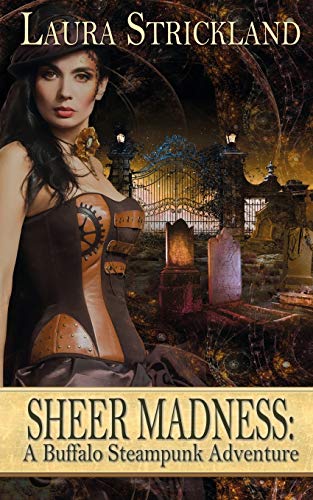 Sheer Madness  A Buffalo Steampunk Adventure [Paperback]