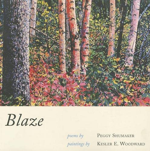 BLAZE [Paperback]