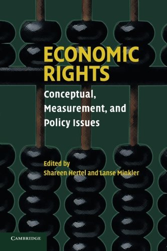 Economic Rights Conceptual, Measurement, and Policy Issues [Paperback]