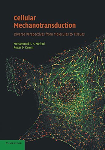 Cellular Mechanotransduction Diverse Perspectives from Molecules to Tissues [Paperback]