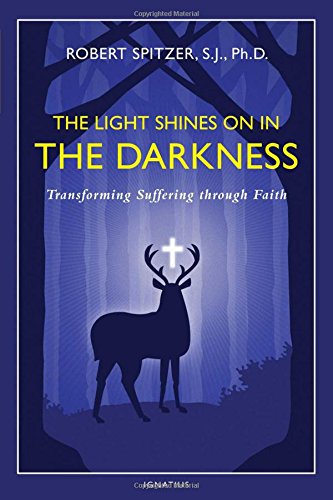 The Light Shines on in the Darkness: Transforming Suffering through Faith [Paperback]