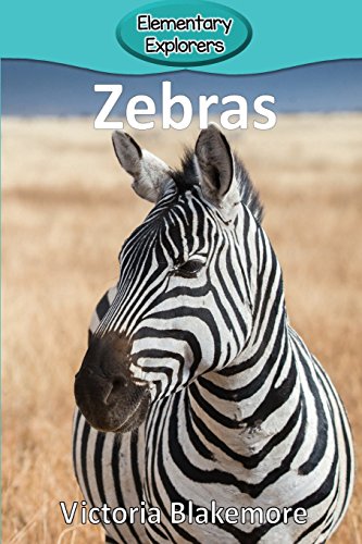 Zebras [Paperback]