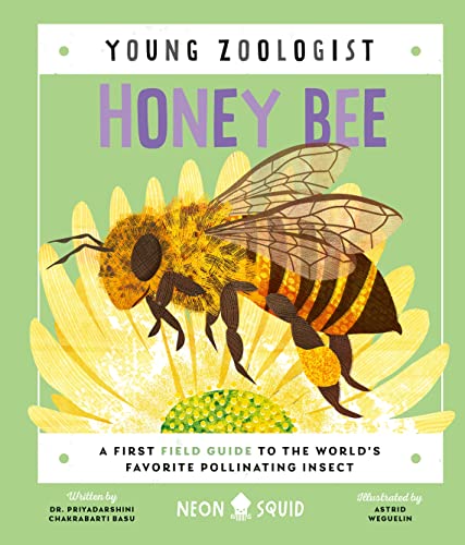 Honey Bee (Young Zoologist): A First Field Gu