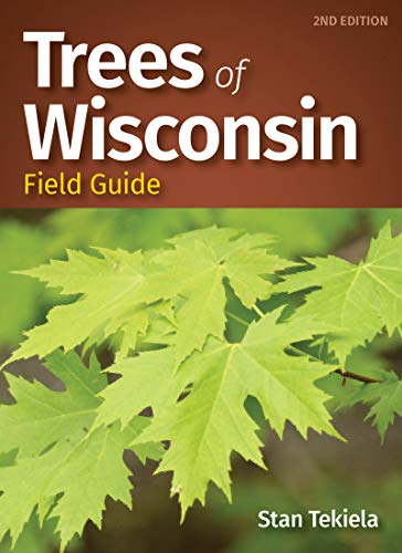 Trees of Wisconsin Field Guide [Paperback]