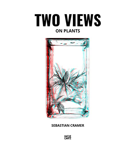 Sebastian Cramer: Two Views [Hardcover]