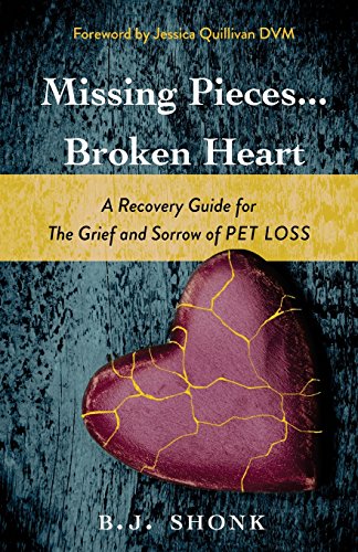 Missing Pieces... Broken Heart  A Recovery Guide for the Grief and Sorro of Pe [Paperback]