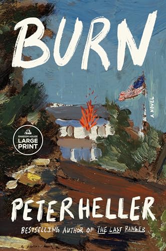 Burn: A novel [Paperback]