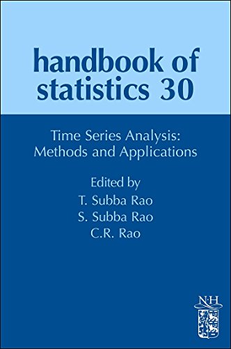 Time Series Analysis Methods and Applications [Hardcover]