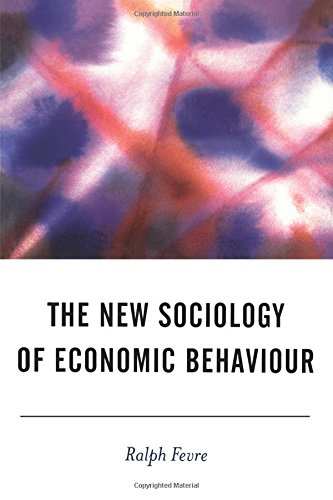 The Ne Sociology of Economic Behaviour [Paperback]