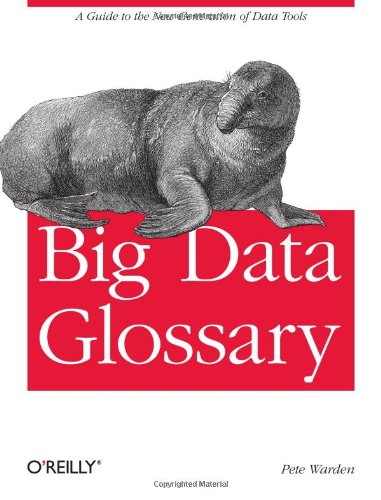 Big Data Glossary A Guide to the New Generation of Data Tools [Paperback]