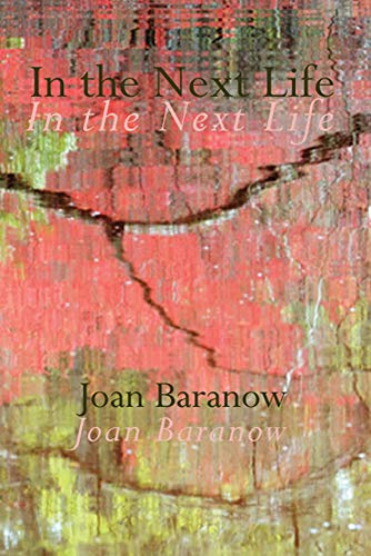 In the Next life [Paperback]