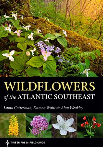 Wildflowers of the Atlantic Southeast [Paperback]