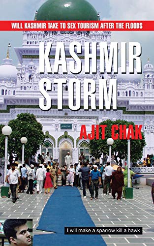 Kashmir Storm [Paperback]