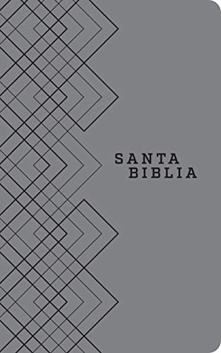 Santa Biblia NTV, Edici?n ?gape (SentiPiel, Gris) [Leather / fine bindi]