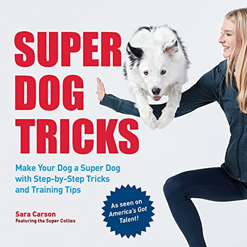 Super Dog Tricks: Make Your Dog a Super Dog with Step by Step Tricks and Trainin [Paperback]