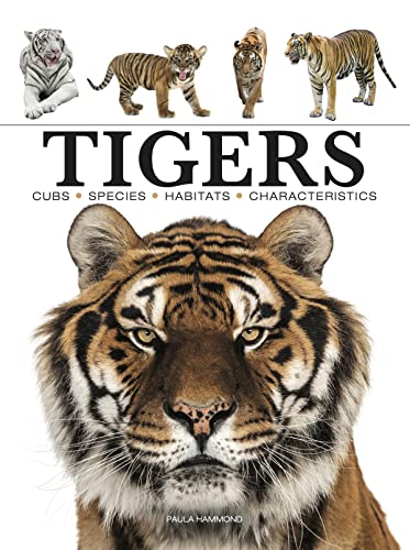 Tigers [Paperback]