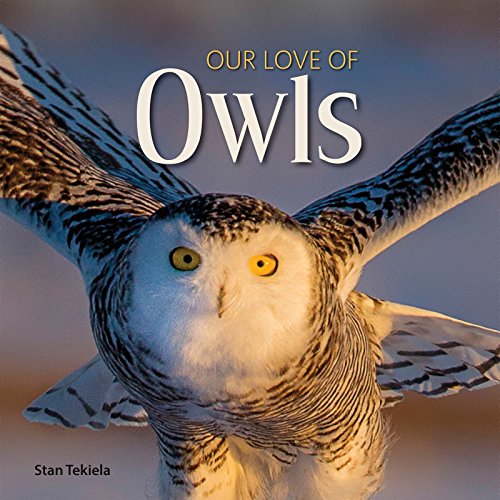 Our Love of Owls [Hardcover]