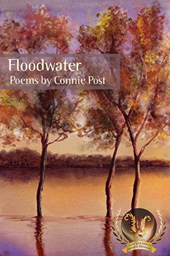 Floodwater [Paperback]