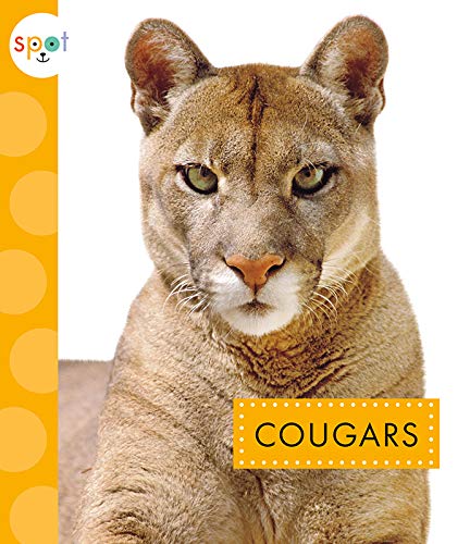 Cougars [Paperback]