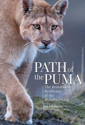 Path of the Puma The Remarkable Resilience of the Mountain Lion [Hardcover]