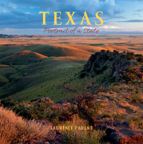 Texas: Portrait of a State [Paperback]