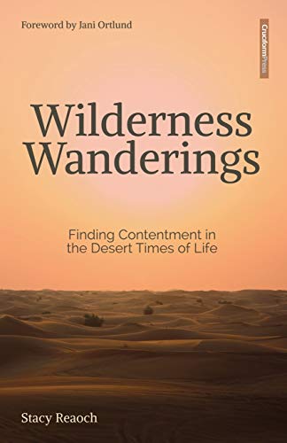 Wilderness Wanderings Finding Contentment In The Desert Times Of Life [Paperback]