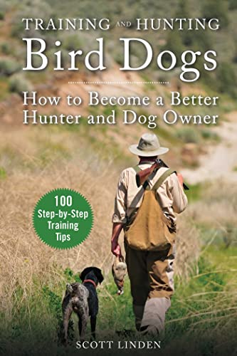 Training and Hunting Bird Dogs: How to Become