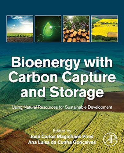 Bioenergy ith Carbon Capture and Storage Using Natural Resources for Sustainab [Paperback]