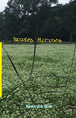 Broken Mirrors [Paperback]