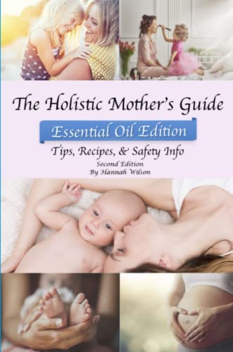 Holistic Mother's Guide [Paperback]