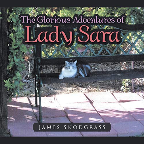 The Glorious Adventures Of Lady Sara [Paperback]