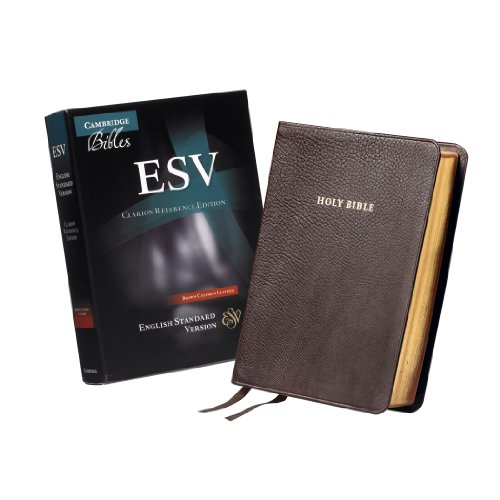 ESV Clarion Reference Edition Brown Calfskin Leather ES485:X [Leather / fine bindi]