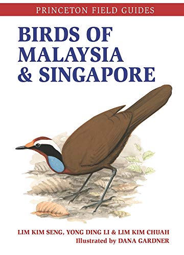 Birds Of Malaysia & Singapore            [TRADE PAPER         ]